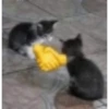 Caguei duro doeu o cu by @raivozo 8