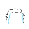 Cat is crying @IMG2D 14
