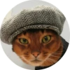 catsbySmol2 13