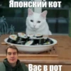Японский кОТ Вас в рот