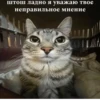 штош ладно я уважаю твое неправильное мнение