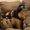 CapybaRa 18