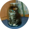 catsbySmol2 16
