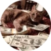 catsbySmol2 17