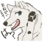 Cute wolf family 18