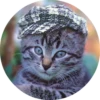 catsbySmol2 19