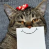 Cats? 21