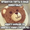 НРАВЯТСЯ ТОРТЫ В ВИДЕ •ЖИВОТНЫХ? ИЩИТЕ БОЛЬШЕ ПО ЗАПРОСУ «FURRY CREAM PIE»