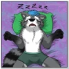 Dash Raccoon 7