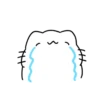 Cat is crying @IMG2D 24