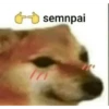 Caguei duro doeu o cu by @raivozo 21