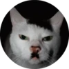 catsbySmol2 20