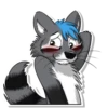 Dash Raccoon 10