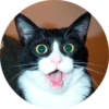 catsbySmol2 21