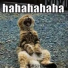 Cats? 25