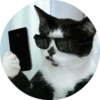 catsbySmol2 23