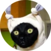 catsbySmol2 24