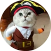 catsbySmol2 25