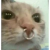 Caguei duro doeu o cu by @raivozo 25