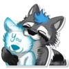 Dash Raccoon 12