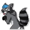 Dash Raccoon 13