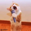 Cats? 30