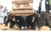 Dancing Coffin (@TgSticker) 27