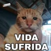 Caguei duro doeu o cu by @raivozo 30