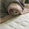 kitty tired ♡ 6
