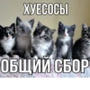 VTARIVAI ZAEBAZ 5