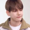 Byun Baekhyun:; 🥨 by @kpopstickerssss 11
