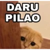 lol-I 11
