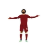 Liverpool FC 9