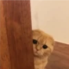kitty sad ♡ 5