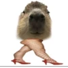 Больше стикеров: @capybarastiker 9