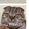 Ламповый пак | @crash_emoji 15