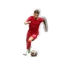 Liverpool FC 12