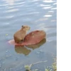 Больше стикеров: @capybarastiker 11