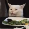 Cats (@t_stickers) 15