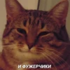 Cats&cats&cats&cats 16