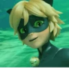 Miraculous🐞 17