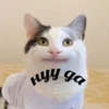 Cats&cats&cats&cats 20