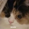 Ламповый пак | @crash_emoji 21