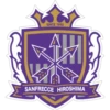 SINCE 1992 SANFRECCE HIROSHIMA