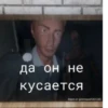 да он не кусается Идея от @Arinaash201245