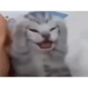 kitty sad ♡ 10