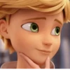 Miraculous🐞 24