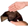 DEDOPOVAL 27