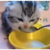 kitty sad ♡ 11