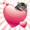Создать стикеры|@EmojiRuBot 29